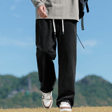 秋冬新款休闲裤男纯棉直筒宽松大码裤工装裤长裤耐磨Z2301-P50，男装休闲裤，星座509