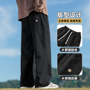 纯棉休闲裤男秋冬直筒裤子2024新款潮牌松紧腰工装长裤Z2329-P50图片
