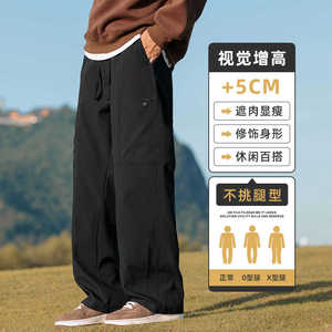 休闲直筒工装裤男秋冬新款潮牌宽松百搭青少年阔腿长裤Z9856-P45