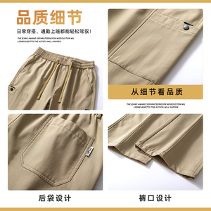 休闲裤基础百搭高级感时尚潮流宽松运动户外工装裤男生Z9856-P45图片