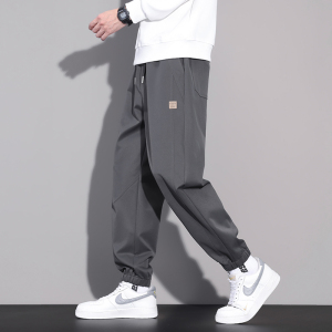 休闲裤男秋季百搭宽松束脚长裤2025新款松紧腰哈伦裤子N6802-P45图片