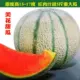 5 капсул дыни красоты