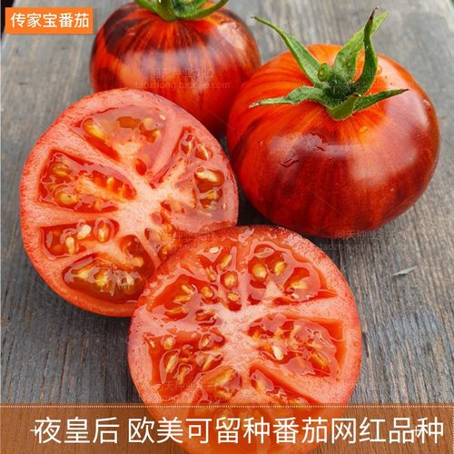 四季传家宝可留种番茄种子秧苗孑