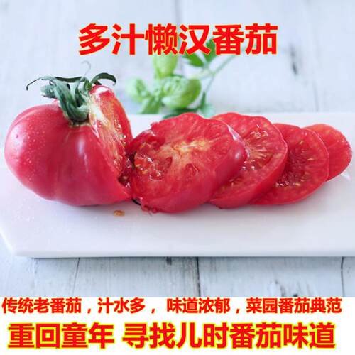 多汁懒汉番茄毛粉可留种西红柿水果蔬菜种子孑苗秧籽沙瓤四季 - 封面