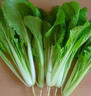 四季小白菜快菜可食用盆栽春夏秋冬菜园农家适合新手蔬菜种子籽孑 - 封面