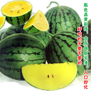 礼品黄壤小西瓜麒麟瓜黑美人四春季好吃盆栽蔬菜水果种子籽孑秧苗