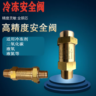 制冷蒸发器媒中央空调冻机组SFA22C300T全铜安全阀CSS507H1