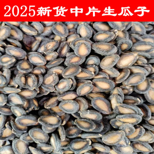 2025年新货西瓜子生瓜子黑西瓜子中大板小板黑瓜子农产品包邮