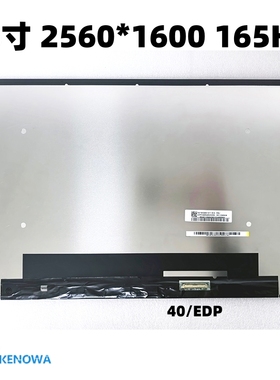 16寸2.5K165HZ NE160QDM-NY1/3/C/J MNG007DA1-1/6/8 B160QAN03.L