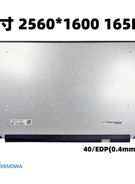 外星人M18笔记本屏幕 18寸 2.5K 165HZ NE180QDM-NZ1/N180GME-GAA