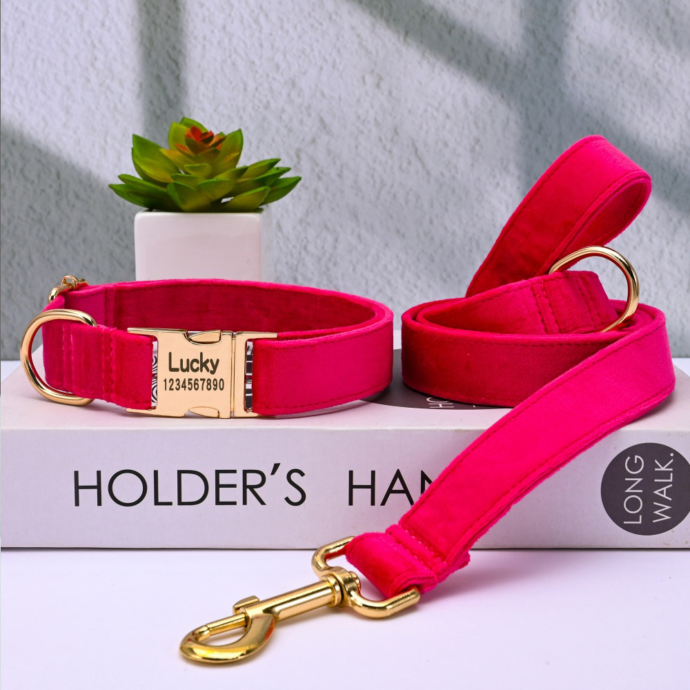 狗狗项圈中型犬狗脖圈柯基小型犬毛绒颈圈刻字狗牌狗绳狗圈狗脖套,宠物/宠物食品及用品,项圈/肩带,淘宝优惠券,粉丝福利购,淘宝优惠卷