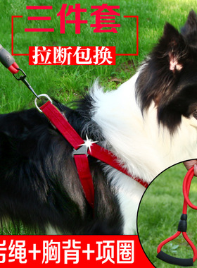 狗狗牵引绳狗链子宠物胸背中小型犬遛狗绳链项圈泰迪斗牛比熊金毛