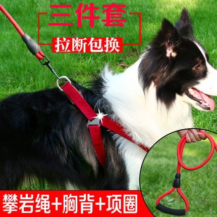 狗狗牵引绳狗链子宠物胸背中小型犬遛狗绳链项圈泰迪斗牛比熊金毛