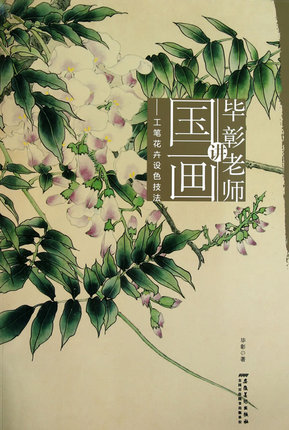 毕彰老师讲国画 工笔花卉设色技法毕彰安徽美术出版社9787539826370
