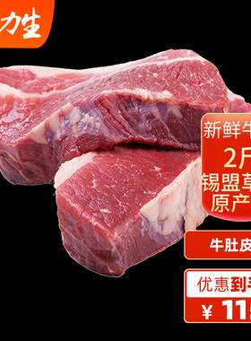 内蒙古牛腩肉牛肉大块2斤 牛排套餐新鲜生牛肉锡盟黄牛冷冻草饲牛