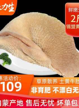 内蒙古水洗牛肚2斤 锡盟新鲜牛杂动物内脏冷冻黄牛肉生鲜生黄肚子