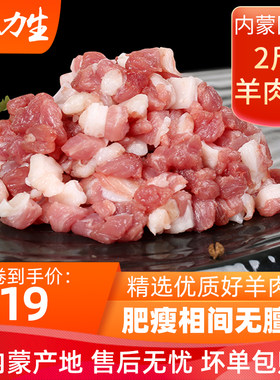 草原力生内蒙古特产清真羔羊肉馅2斤 肉丸子新鲜手工绞陷包饺子馅