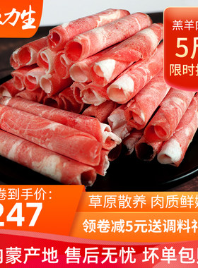 送火锅大礼包内蒙古锡盟羊肉卷5斤 新鲜涮锅食材清真肥羊片优质肉