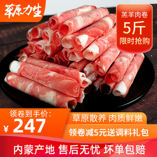 送火锅大礼包内蒙古锡盟羊肉卷5斤 新鲜涮锅食材清真肥羊片优质肉