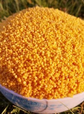 2025新米山西广灵东方亮小米 月子米 食用优质大白谷品种5斤包邮