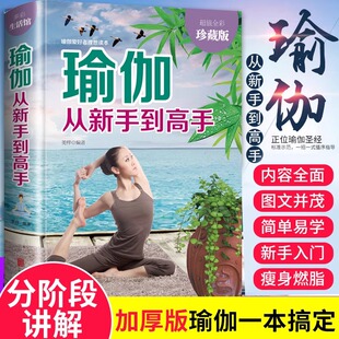 大全 瘦身塑身教程瑜伽体式 瑜伽书籍瘦身 阴瑜伽 减肥塑身健身瑜伽练习书 正版 减肥神器初级入门瑜伽教材书 瑜伽从新手到高手