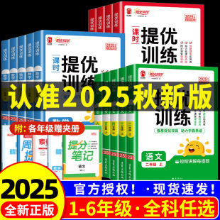 2025阳光同学提优训练课时优化作业