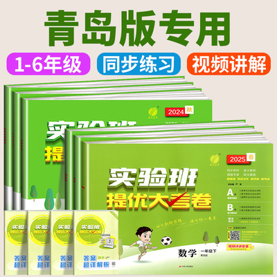青岛版山东2025新版实验班提优大考卷一二三四五六年级上下册语文数学英语全套人教版青岛外研版小学同步课时训练小学生专项练习册