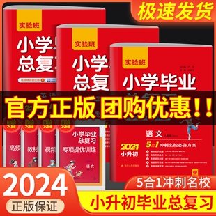 2024版 小升初毕业升学必备总复习资料专项测试小学升初中必刷题六年级下册暑假衔接书 实验班小学毕业总复习语文数学英语全套人教版