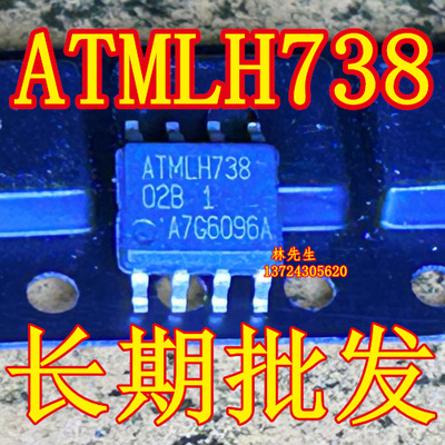 ATML738  02B1 全新 ATMEL  正品直拍 02B 1 A7G6096A
