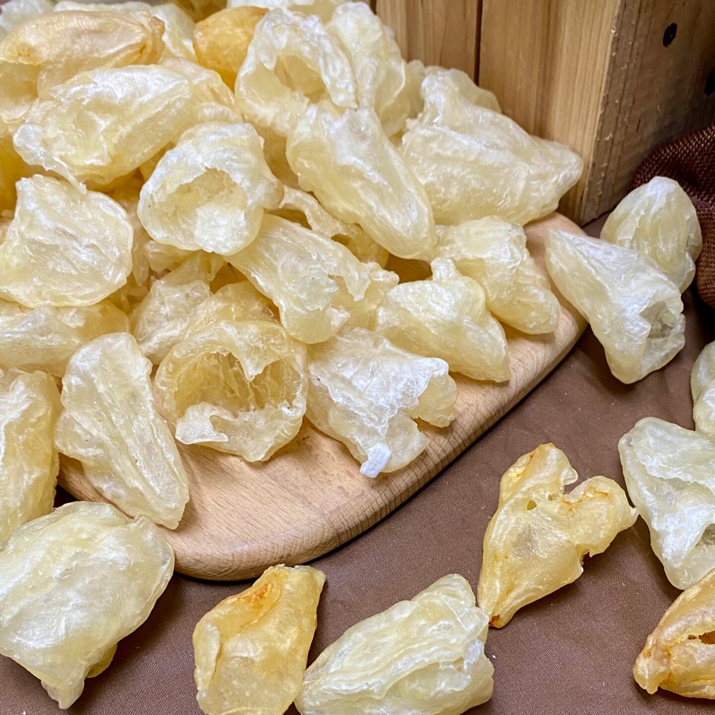 45头厚肉石斑胶 鱼泡鱼胶花膠魚膠干货 蝴蝶胶石斑肚蝴蝶胶奶冻胶