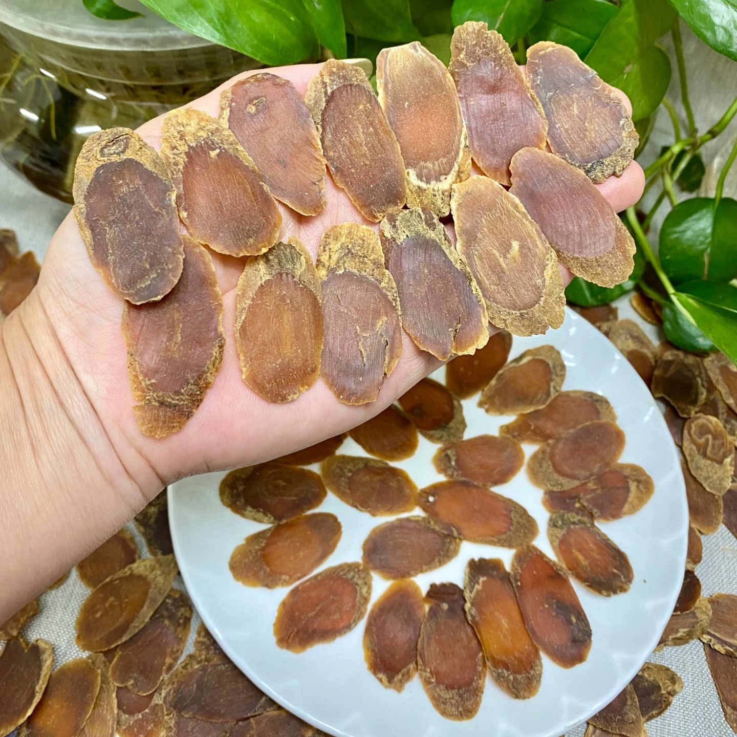 精选特大片红参片 吉林长白山红叁 老人参 生晒参 高丽参含片滋补