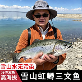 代购虹鳟三文鱼 高海拔雪山水无污染干净 [看中再拍 不退不换]