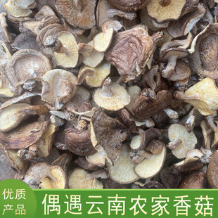 云南香菇250g 有大有小形状不一拍2减5拍3减10拍4减15
