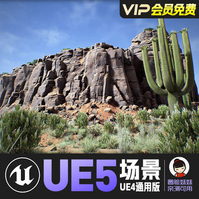 UE4虚幻5_精品烈日炎热荒凉沙漠山脉植物仙人掌场景资源Red Deser