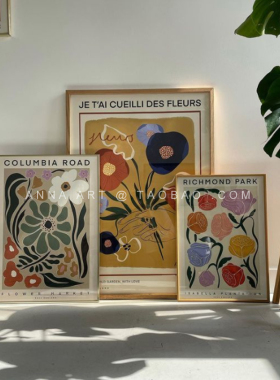 ANNA 复古法式浪漫花朵flower抽象花卉艺术海报家居装饰画 多款入