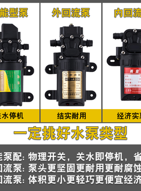 12V电动喷雾器水泵配件农用高压智能自吸12伏浇花大功率洗车双泵