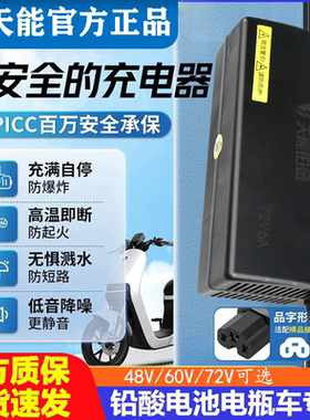 天能48V60V72V电动车电瓶充电器