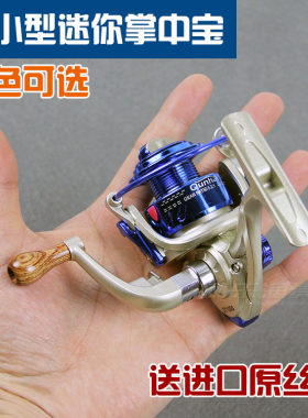 掌中宝迷你特价超值绕线海竿轮