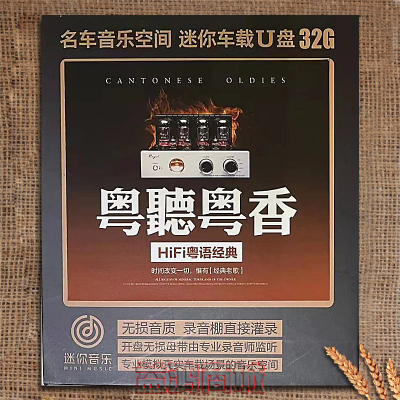 粤语经典怀旧老歌 wav格式 赠180首mp3高品质歌曲 32G容量车载U盘
