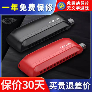 VIKING AGE专业演奏奥丁odin12孔48音半音阶口琴新手初学入门学生