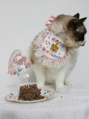 宠物生日饰品猫咪庆生围兜帽子蜡烛围嘴狗狗蛋糕装饰拍照饰品可爱