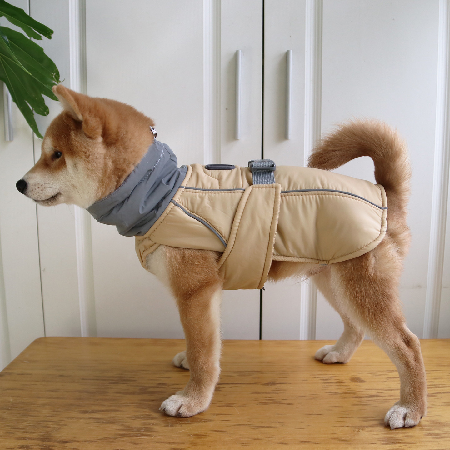 多乐米宠物秋冬保暖棉服狗防水防风加厚反光马甲背心可牵引可调节