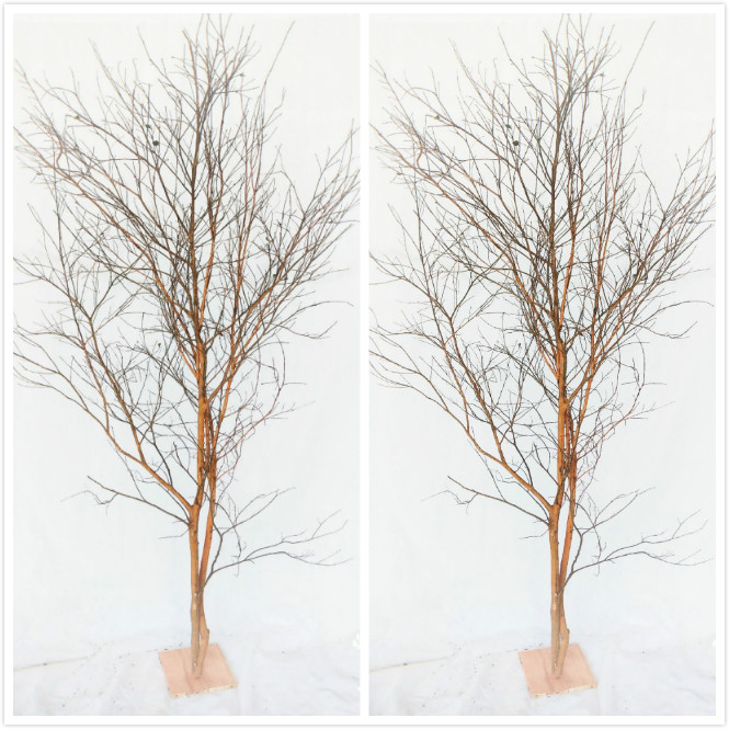 造型酒店橱窗婚庆家居落地枯树枝