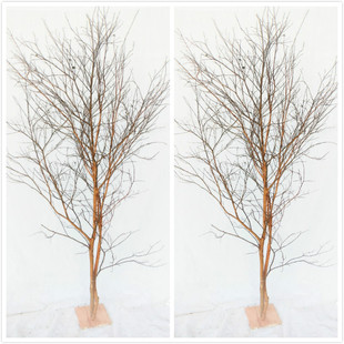 白树枝枯树枝造型摆件酒店橱窗装饰婚庆装饰橱窗树摆件家居落地