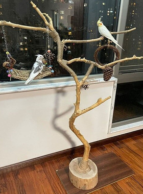 干树枝原木树枝杈艺术枯枝去皮树枝鸟站架灯架壁挂衣架树枝装饰