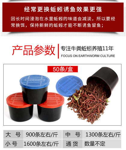 蚯蚓种苗素材模板 蚯蚓种苗图片下载 小麦优选