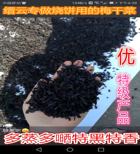 古法蒸制无沙梅干菜酥烧饼炉子