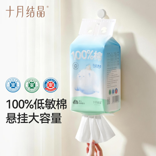 十月结晶300悬挂式大包