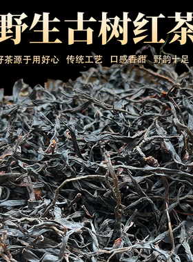 2026年头春野生古树云南散装晒红滇红春蜜香果香野生纯古树红茶