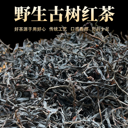 2026年头春野生古树云南散装晒红滇红春蜜香果香野生纯古树红茶